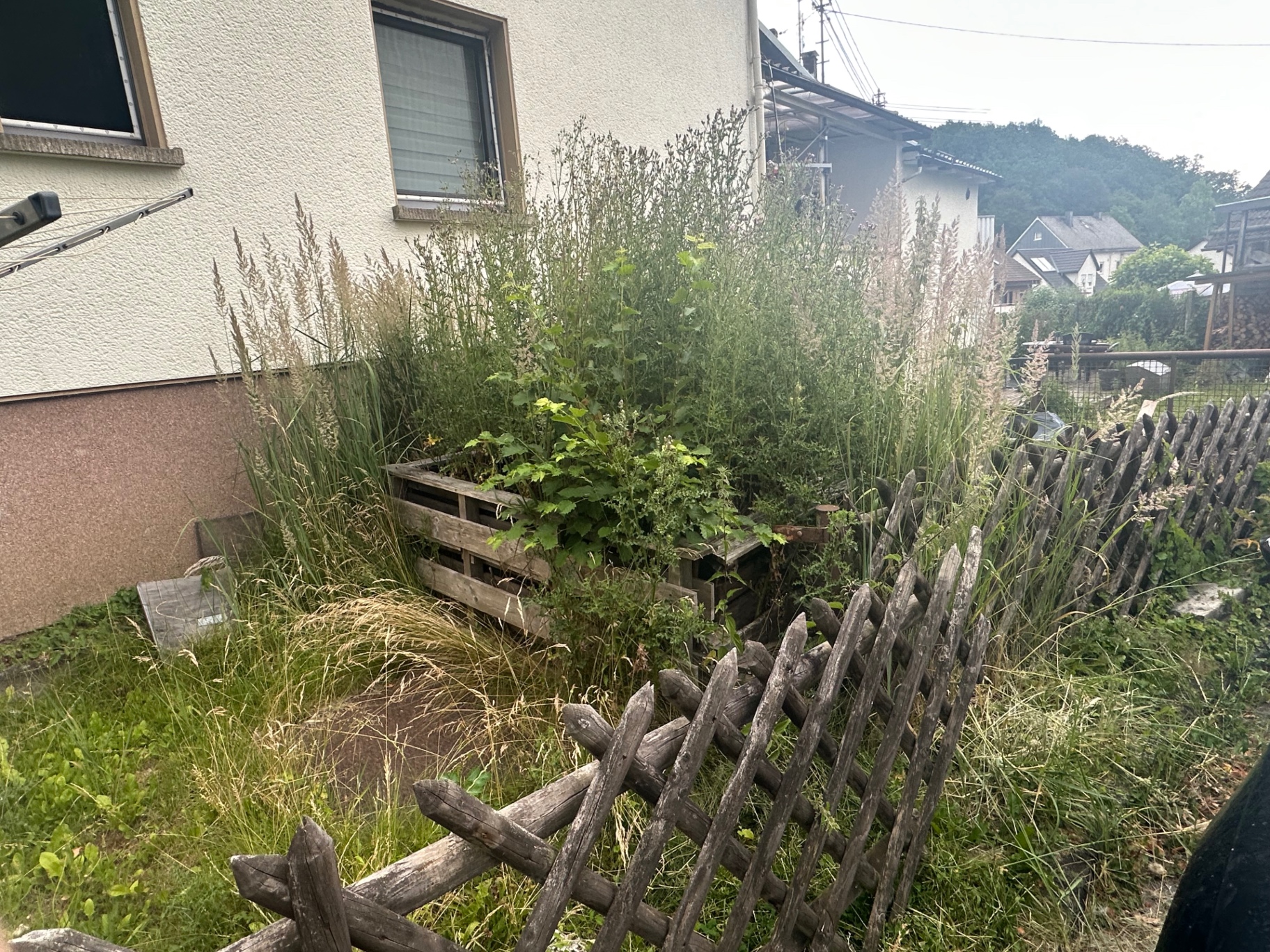 Grünflächenpflege – vorher